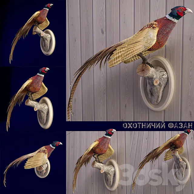 Scarecrow PHEASANT 3DModel Scarecrow PHEASANT 3DModel