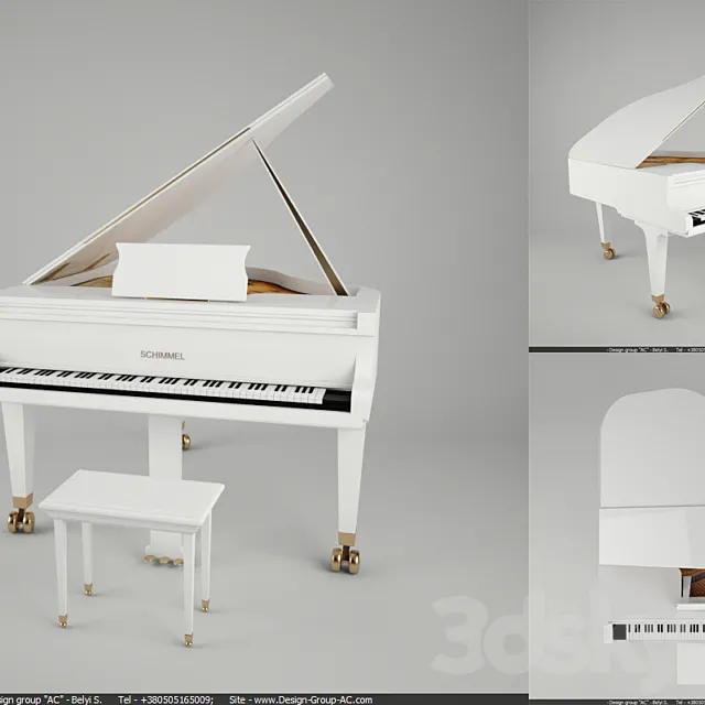 Schimmel 3DModel