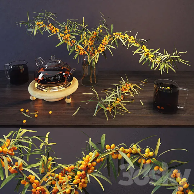 Sea buckthorn and kettle 3DModel