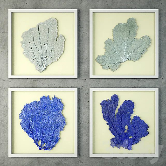 Sea Fans 3DModel Sea Fans 3DModel