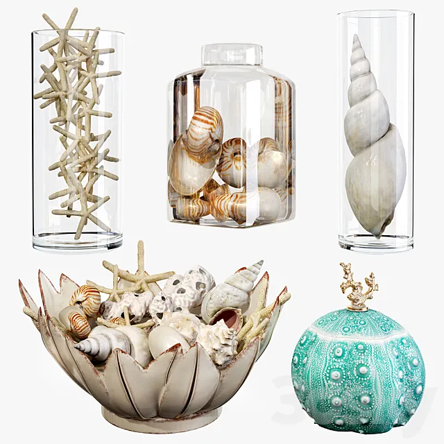Sea shell decorative set 01 3D Model