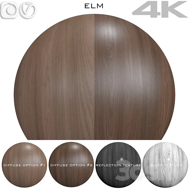 Seamless texture – Elm 2 3D Model