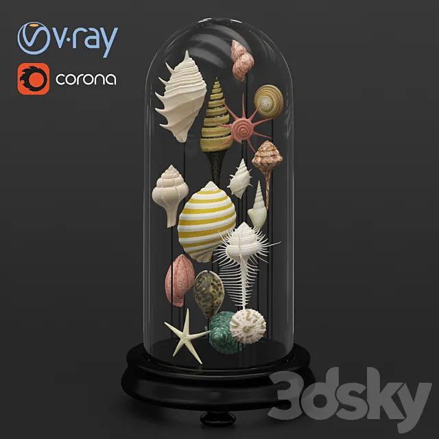 Seashell decorative 3D Model