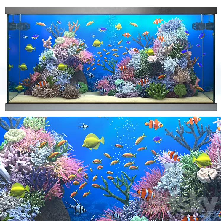 Seawater aquarium 3D Model Seawater aquarium 3D Model