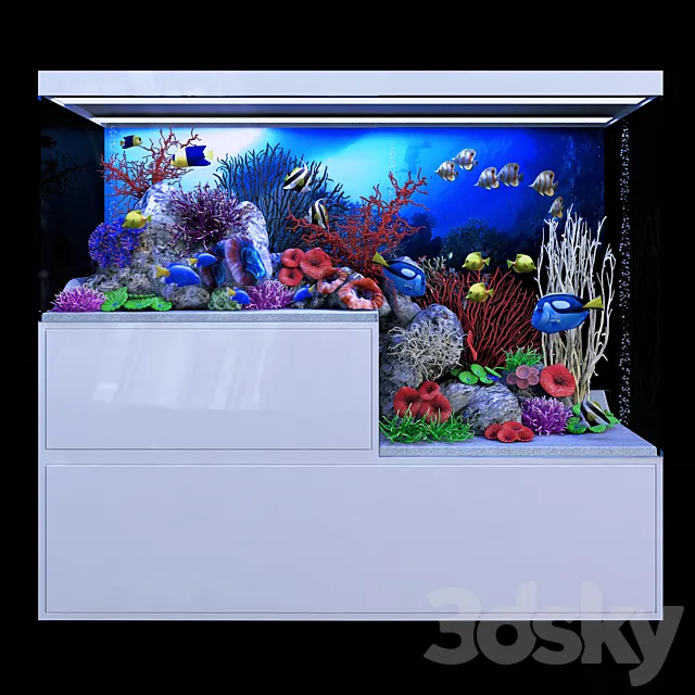 Seawater aquarium 3D Model Seawater aquarium 3D Model