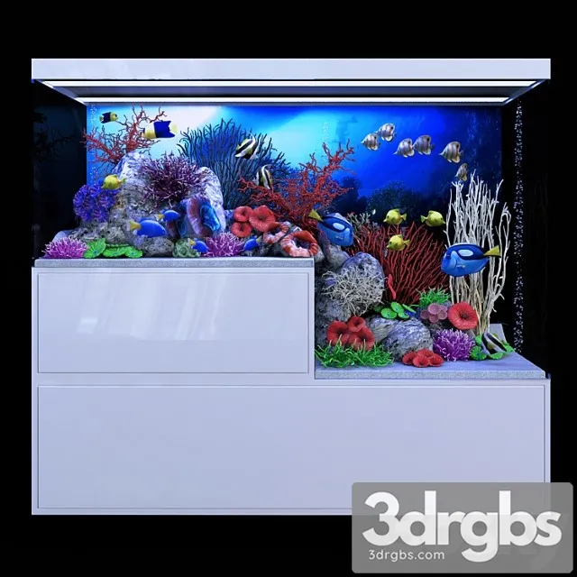 Seawater aquarium 3D Model Download