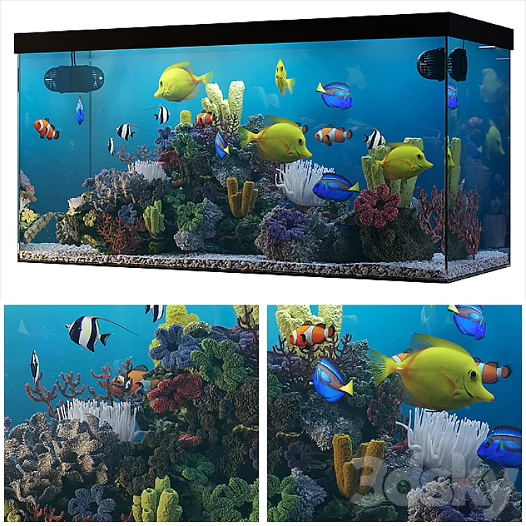 Seawater aquarium 3D Model