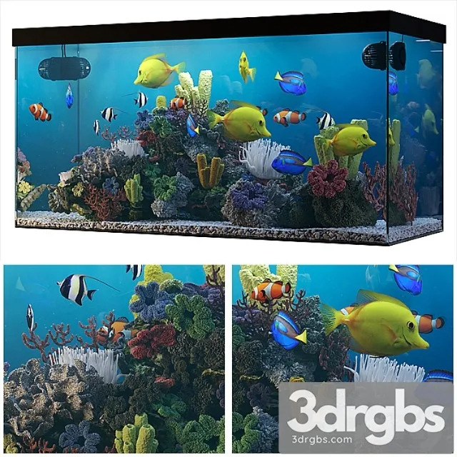 Seawater aquarium_3 3D Model Download