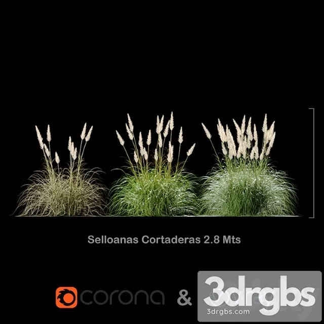 Selloanas cortaderas big Selloanas cortaderas big