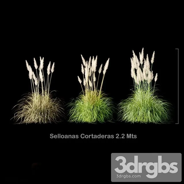 Selloanas Cortaderas Medium 3D Model Download