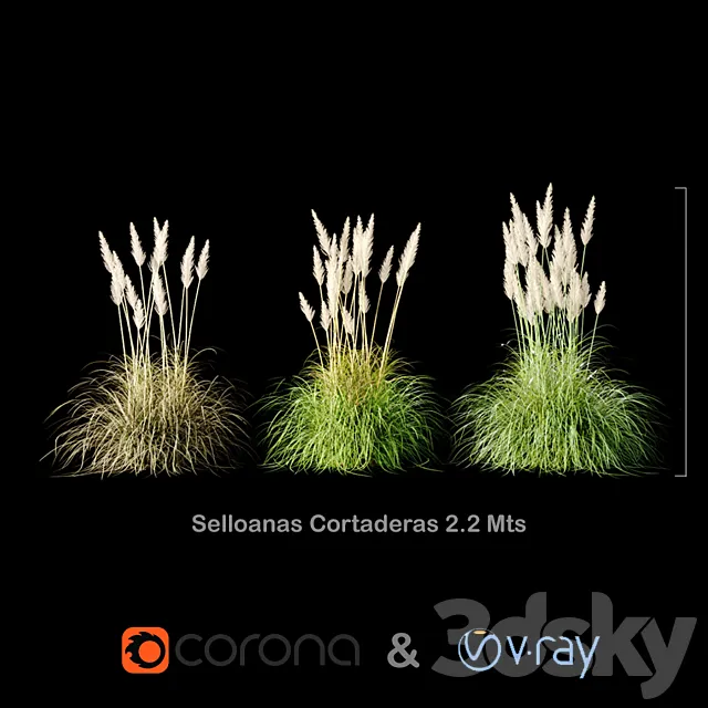 Selloanas Cortaderas Medium 3D Model Selloanas Cortaderas Medium 3D Model