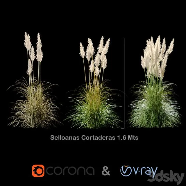 Selloanas Cortaderas Small 3D Model Selloanas Cortaderas Small 3D Model