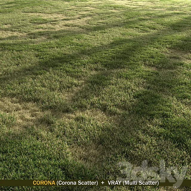 Semi Dry Grass 3D Model Semi Dry Grass 3D Model