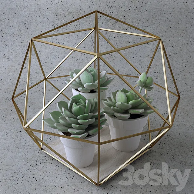 Sempervivum _ Stone Rose _ young 3DModel Sempervivum _ Stone Rose _ young 3DModel