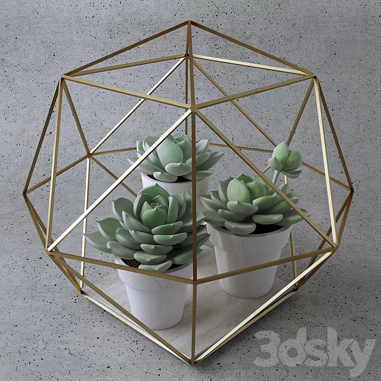 Sempervivum \/ Stone Rose \/ young 3D Model Sempervivum \/ Stone Rose \/ young 3D Model