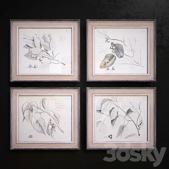 Sepia Leaf Study pictures 3D Model Sepia Leaf Study pictures 3D Model