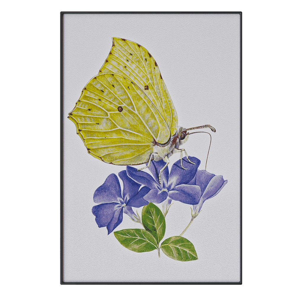 Serralunga – Paper SLU06 3D Model