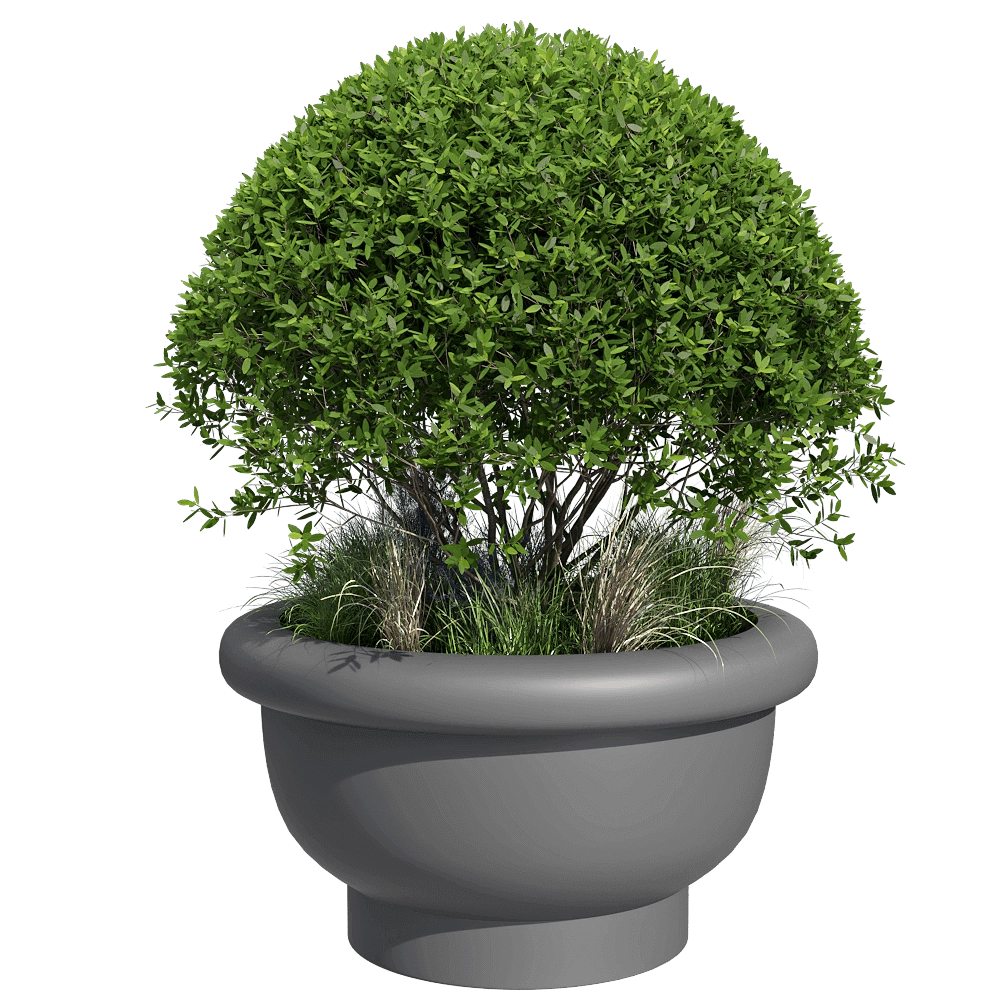 Serralunga – Planet KEW 3D Model