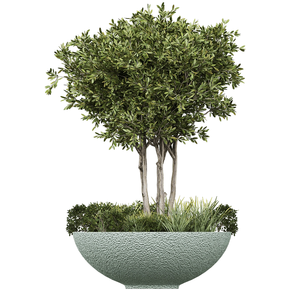 Serralunga – Planter Ciotola Ruvida 3D Model