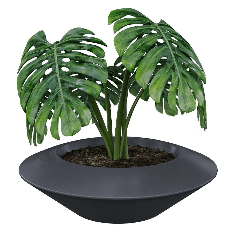 Serralunga – Planter IN ORBITA 3D Model