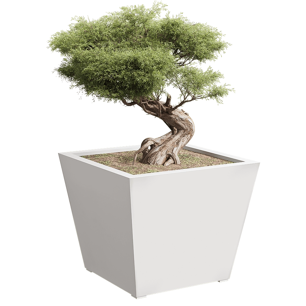 Serralunga – Planter Kabin 3D Model