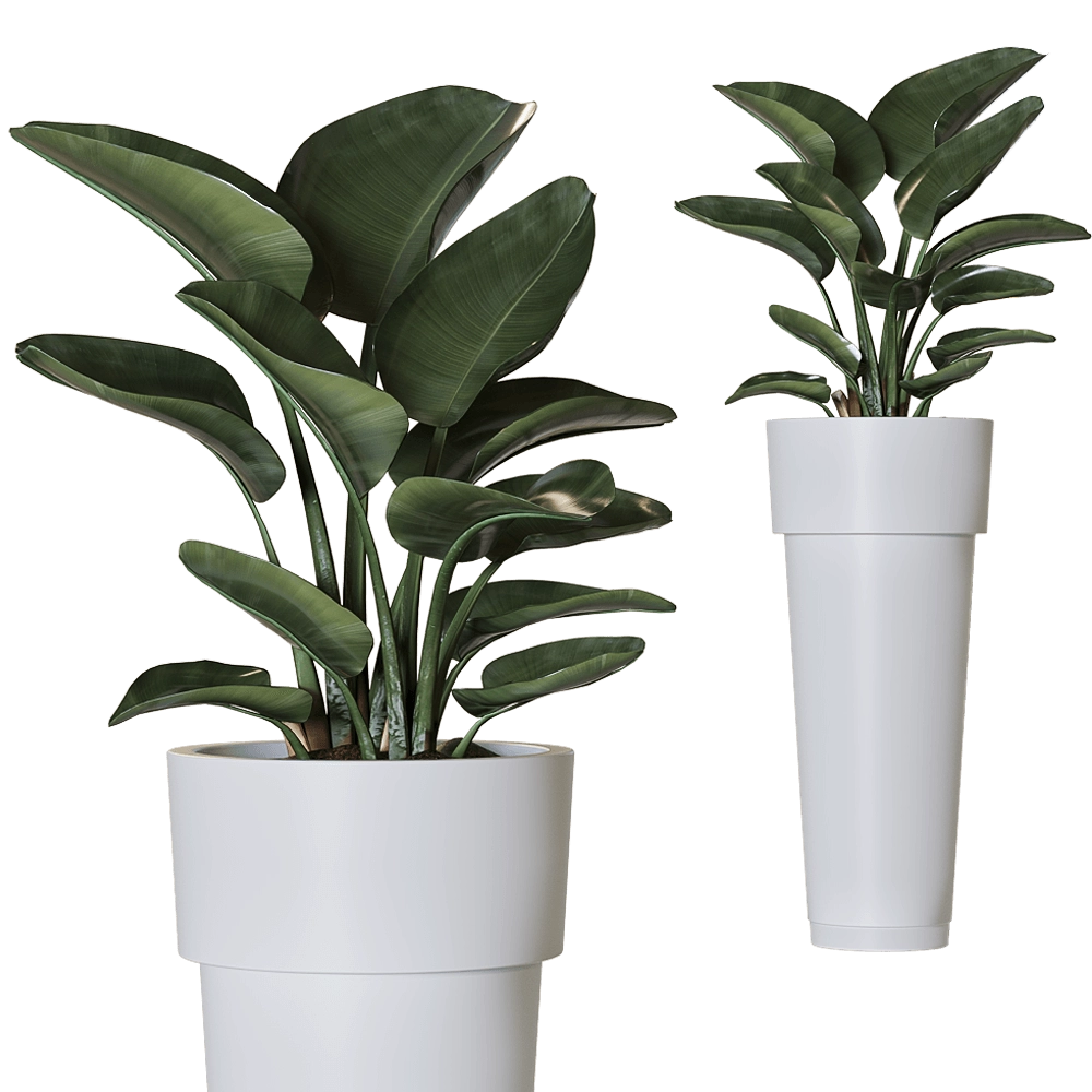 Serralunga – Planter Marcantonio 3D Model