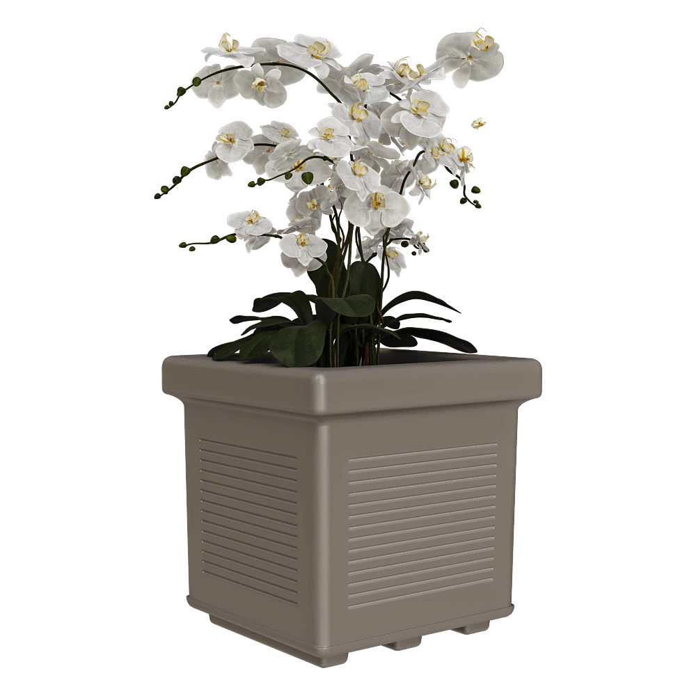 Serralunga – Planter Millerighe 2 3D Model