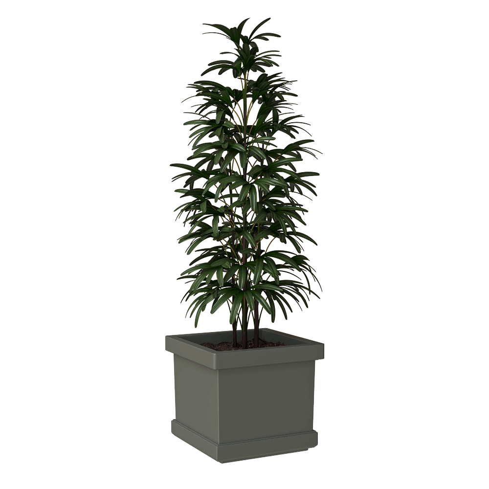 Serralunga – Planter Neoclassic Quadro Liscio 3D Model
