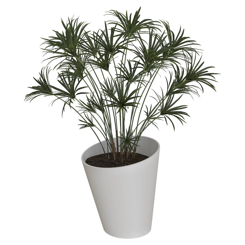 Serralunga – Planter Pisa 3D Model Serralunga – Planter Pisa 3D Model