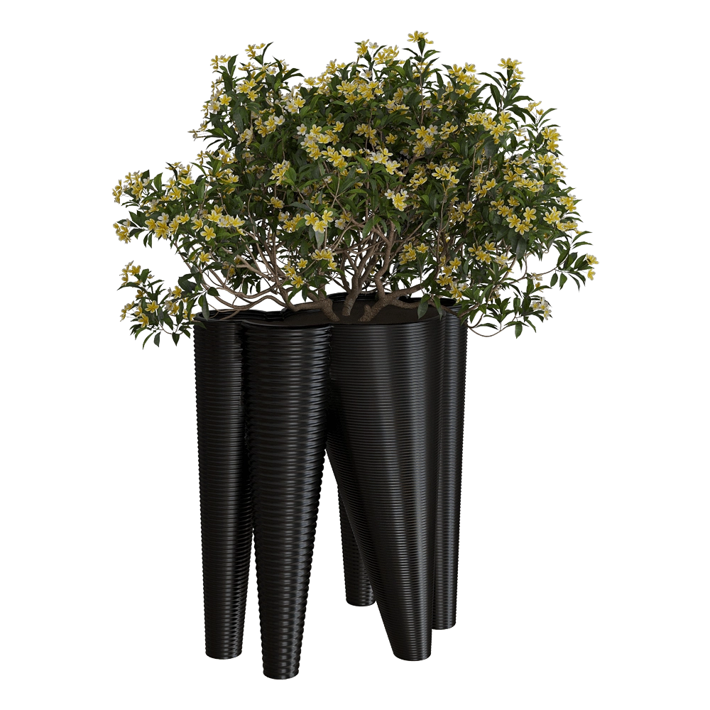 Serralunga – Planter The Vases 3D Model Serralunga – Planter The Vases 3D Model
