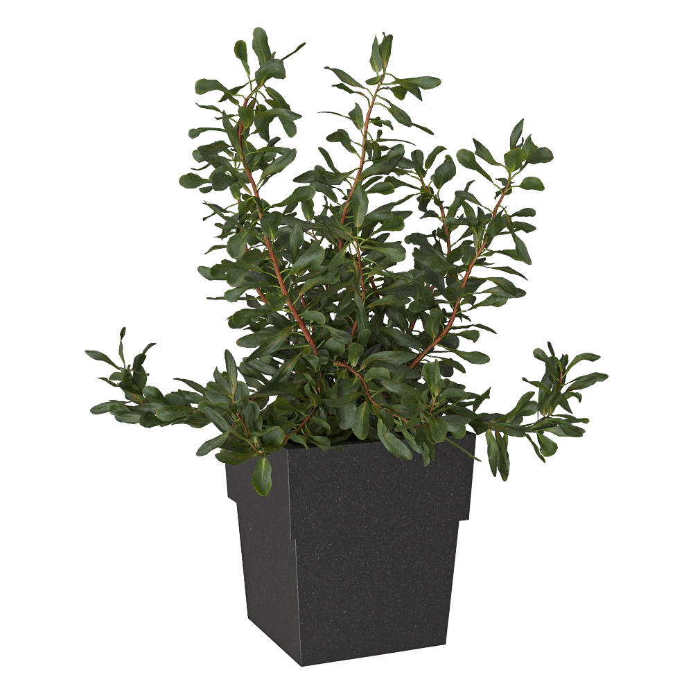 Serralunga – Planter Torre 3D Model Serralunga – Planter Torre 3D Model