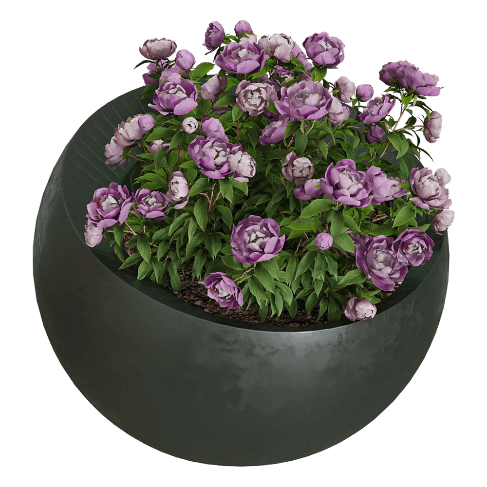Serralunga – Planter Uovo di Colombo 3D Model