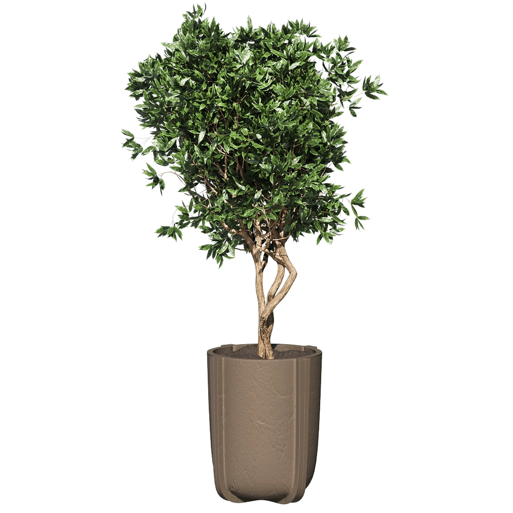 Serralunga – Vase Cassero 60 3D Model