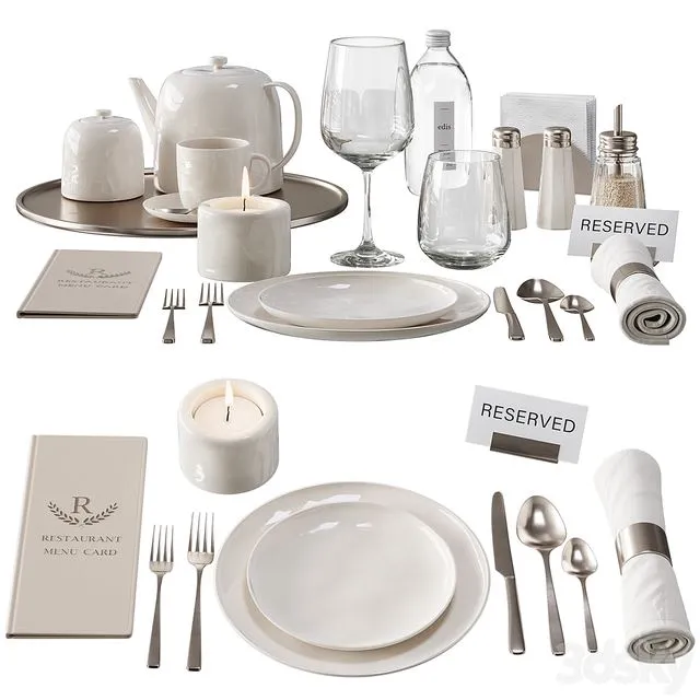 Serving NG3 3D Model