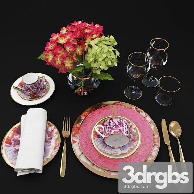 Serving roberto cavalli 3D Model Download