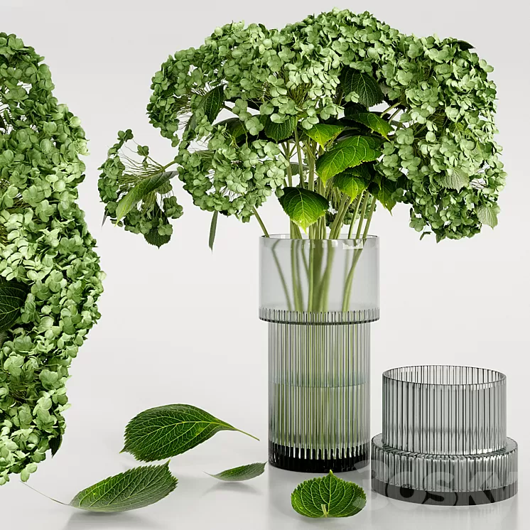 Set bouquet Hydrangea 3D Model