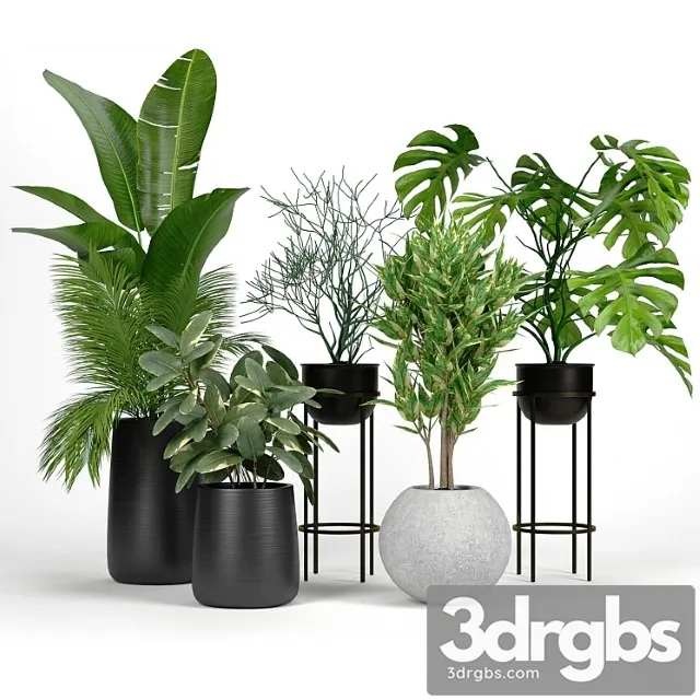 Set crate and barrel 04 Set crate and barrel 04