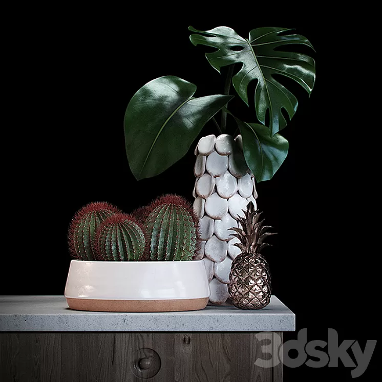 Set decoration with red cactus 3D Model