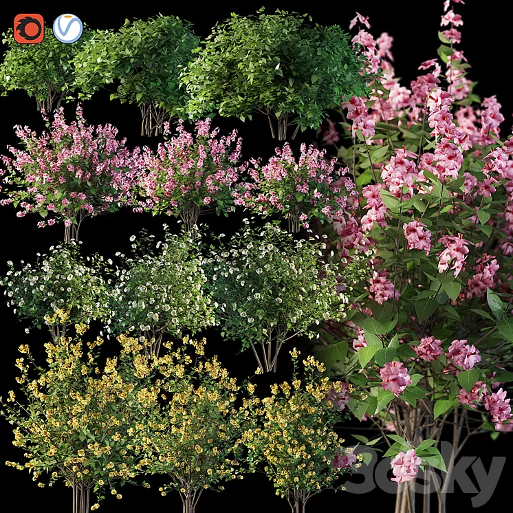 Set flowering shrubs 4 3D Model