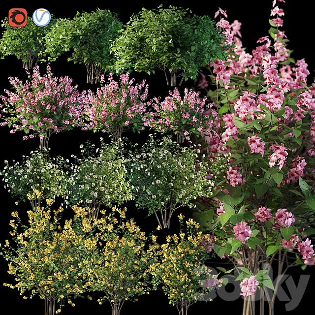 Set flowering shrubs 4 3DModel