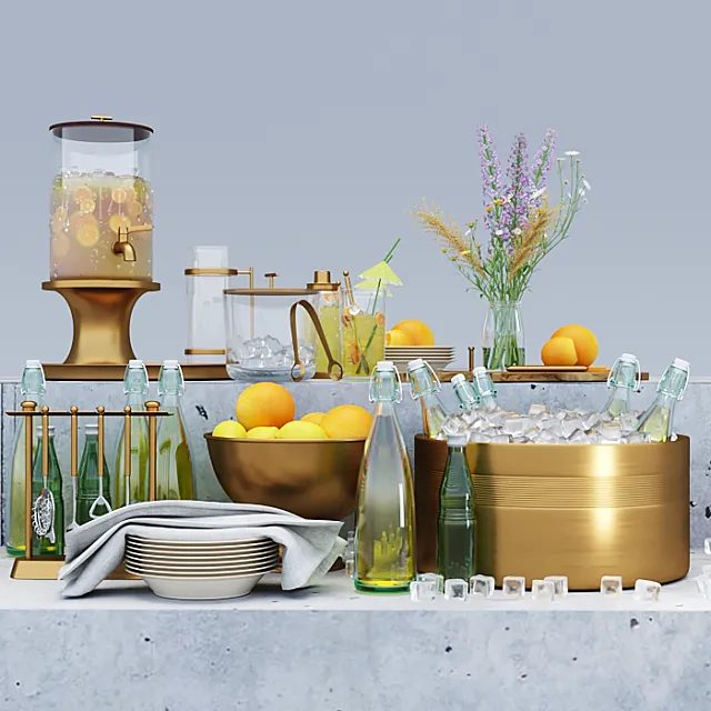 Set for lemonade 3D Model