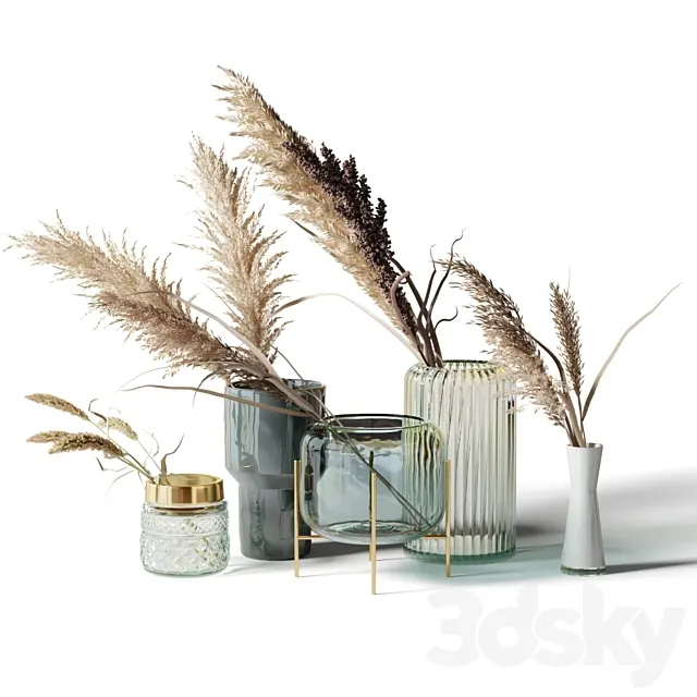 Set of 5 bouquets of dried flowers in glass vases 3D Model Set of 5 bouquets of dried flowers in glass vases 3D Model