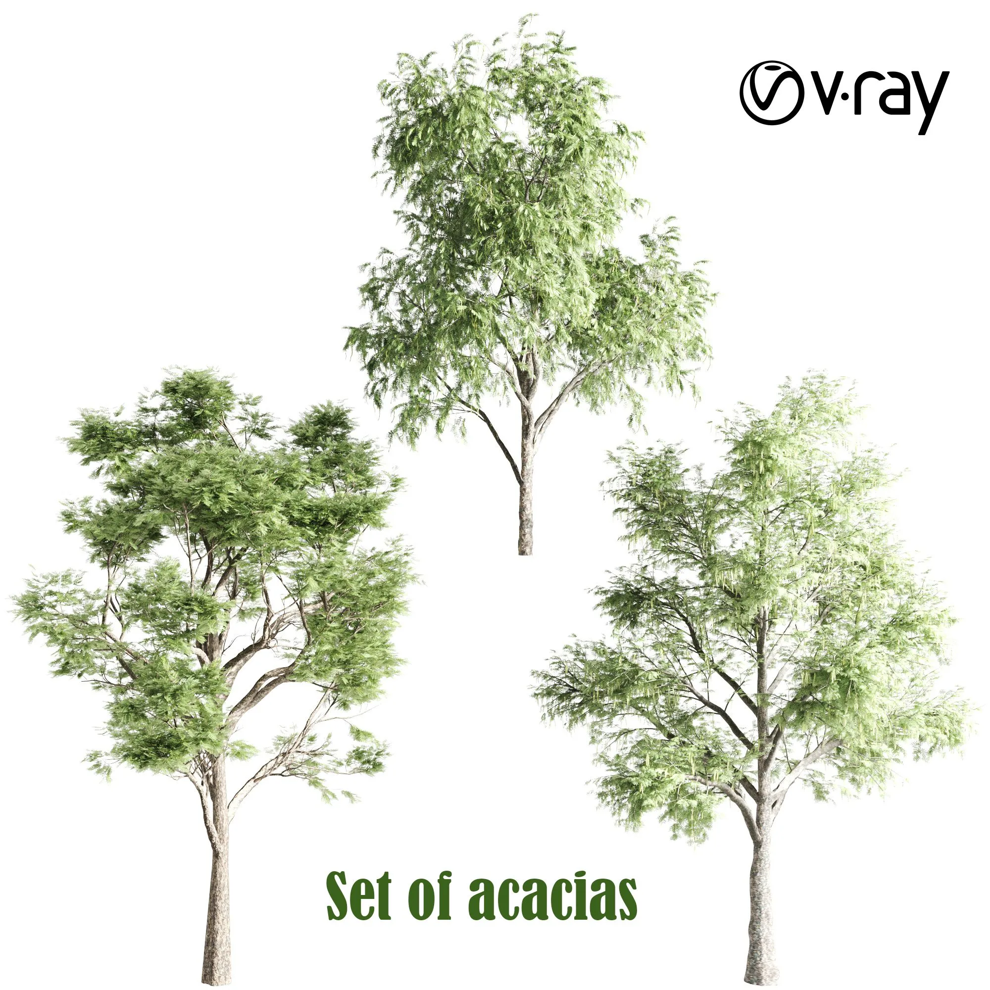 Set of acacias 3D Model