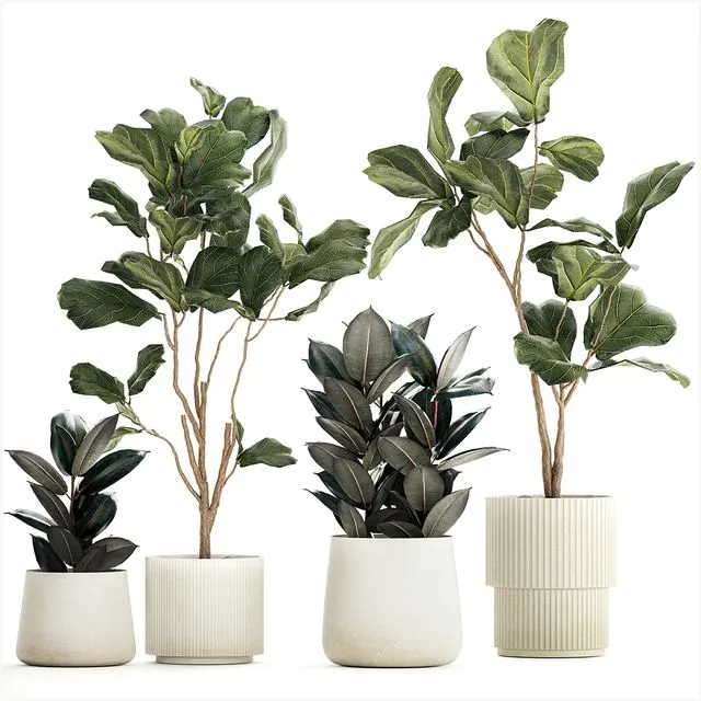 Set of beautiful trees in pots 1244 3D Model