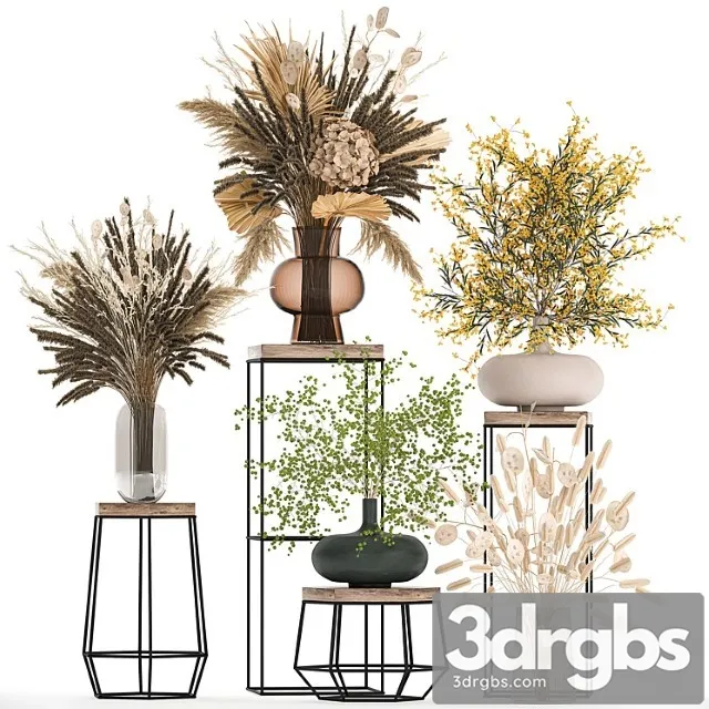 Set of Bouquets of Dried Flowers in Vases for Decor on Shelves Branches Pampas Grass 216 3D Model Download Set of Bouquets of Dried Flowers in Vases for Decor on Shelves Branches Pampas Grass 216 3D Model Download