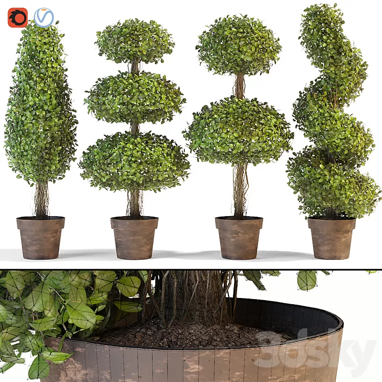 Set of decorative trees 3D Model Set of decorative trees 3D Model