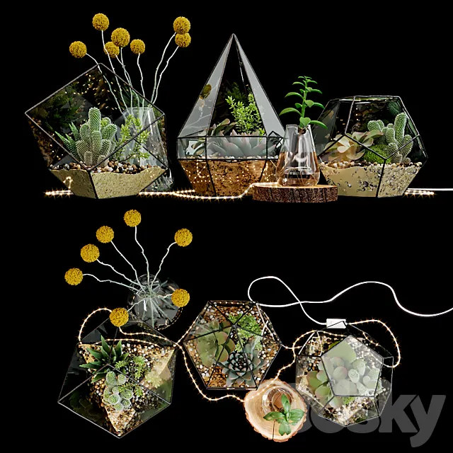 Set of florariums 3D Model Set of florariums 3D Model