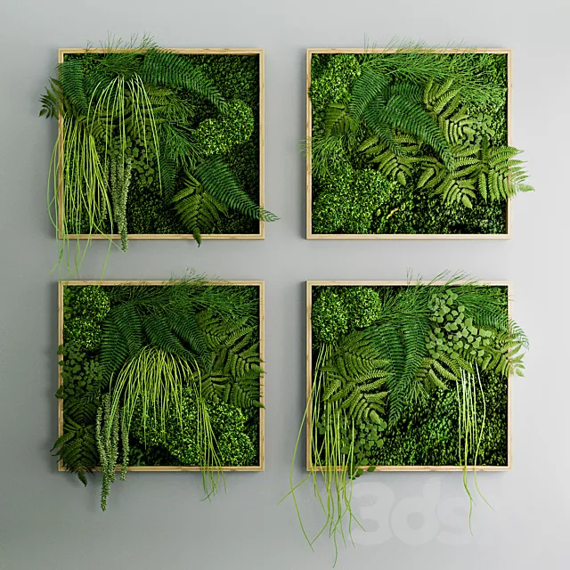 Set of moss and fern phyto modules 3D Model Set of moss and fern phyto modules 3D Model