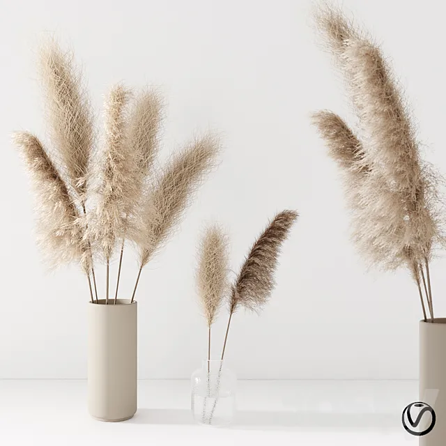 Set of pampas in vase 3D Model Set of pampas in vase 3D Model