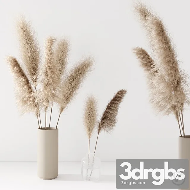 Set of pampas in vase Set of pampas in vase